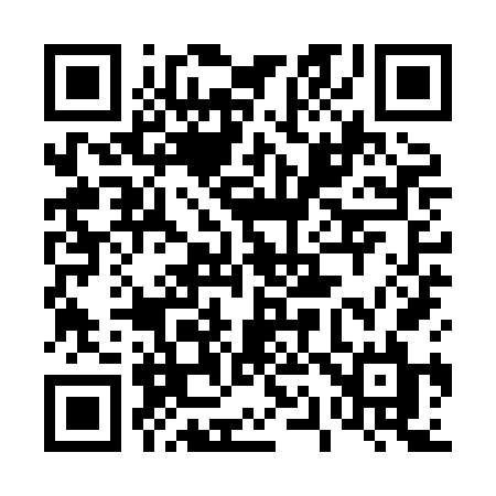 QR code for 419XFL