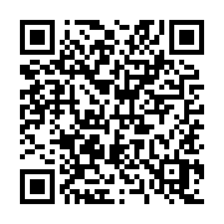 QR code for 419XYT