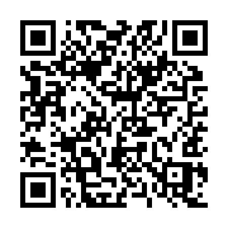 QR code for 419ZYS