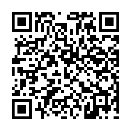 QR code for 425LUX