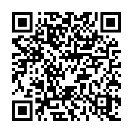 QR code for 425MSX