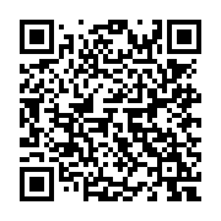 QR code for 425NEM
