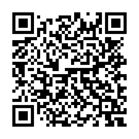QR code for 425NYT