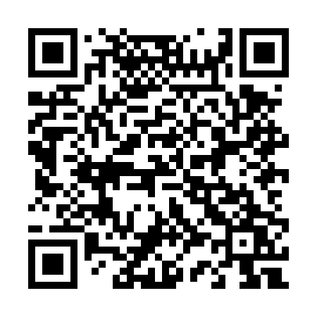 QR code for 438DPW
