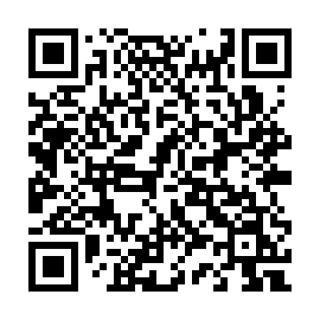 QR code for 439SUN