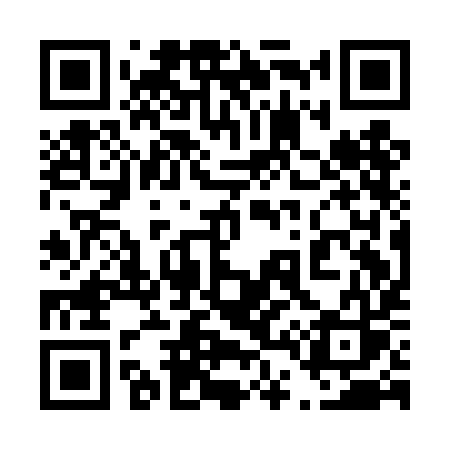 QR code for 441DIS