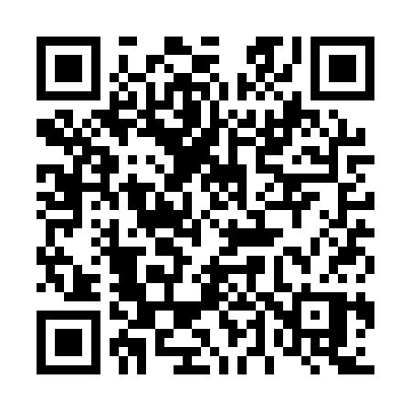 QR code for 441QSP