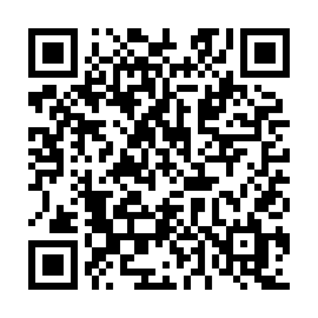 QR code for 441XDL