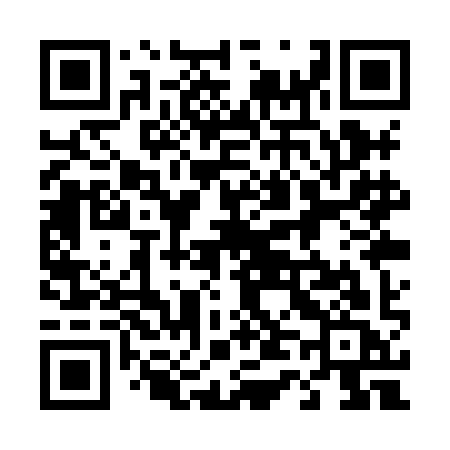 QR code for 441XIC