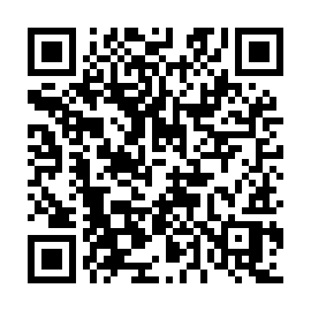 QR code for 449MIR