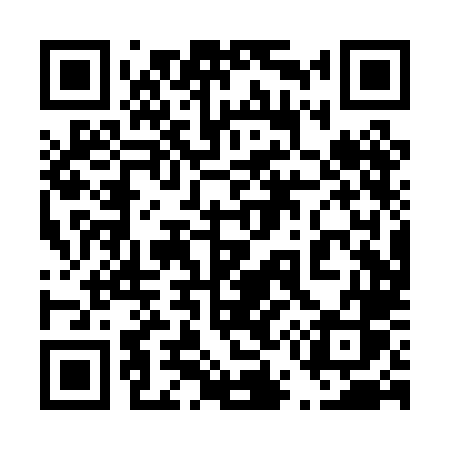 QR code for 450PLS