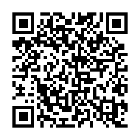 QR code for 453BLI