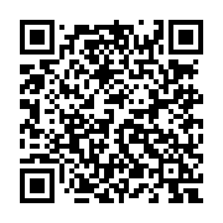 QR code for 453LLI
