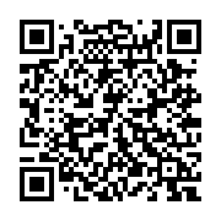 QR code for 453POB