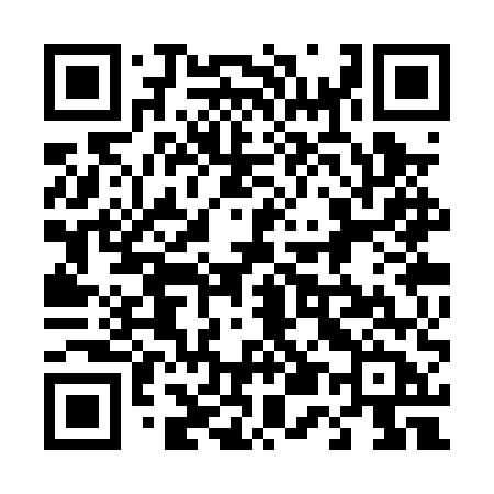 QR code for 453PUB