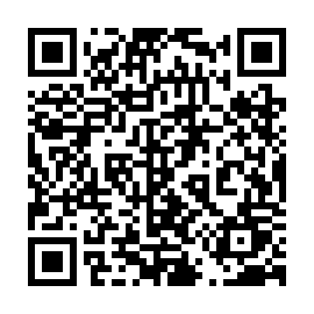 QR code for 455SOT