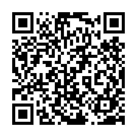 QR code for 455TIL
