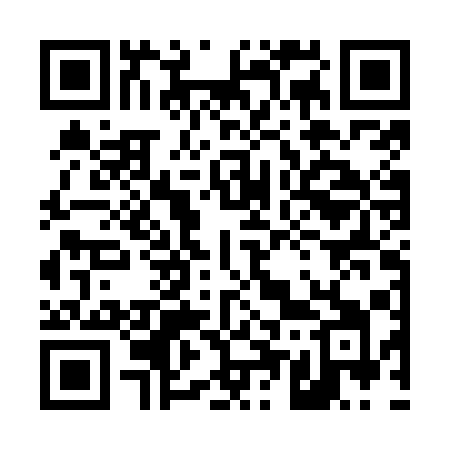 QR code for 456OAI