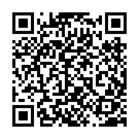QR code for 460BIZ