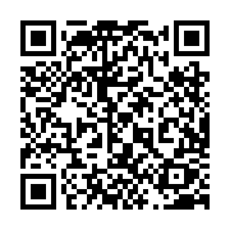 QR code for 460SOX