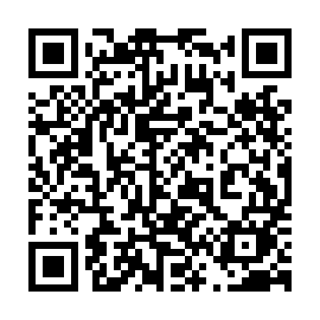 QR code for 461LMM