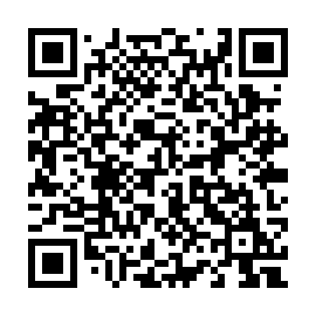 QR code for 461PKM