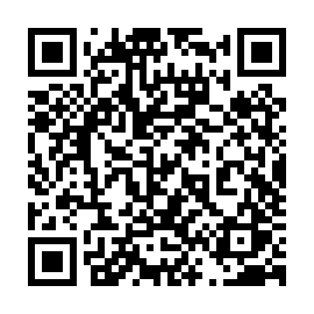 QR code for 462PZS