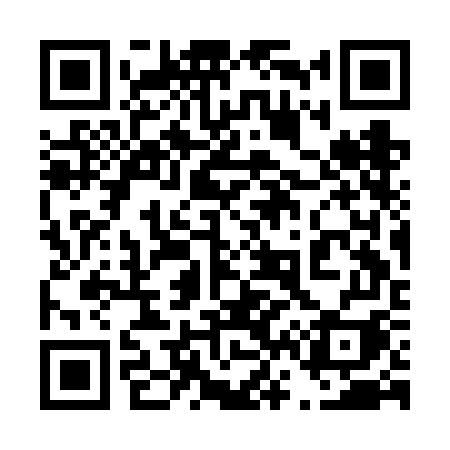 QR code for 463FGI