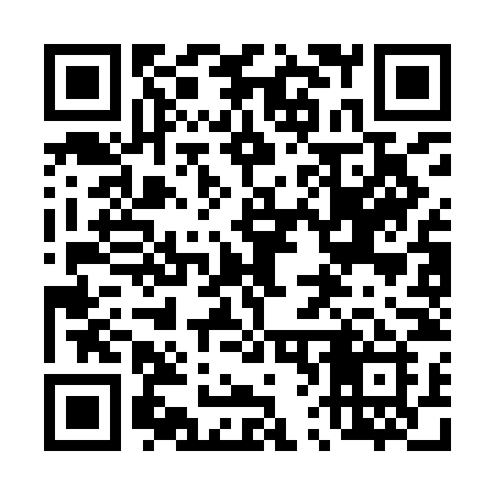 QR code for 463INI