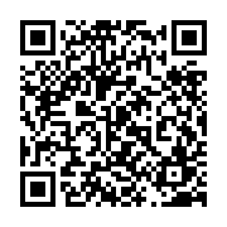 QR code for 463JAV