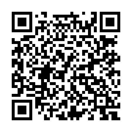 QR code for 463LBI