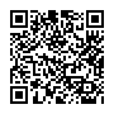 QR code for 463RMX