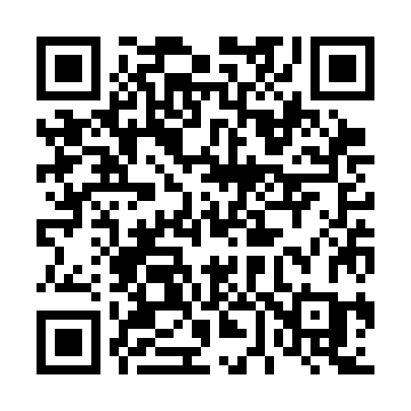 QR code for 463SJC