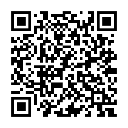 QR code for 463UAH