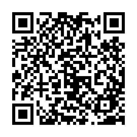 QR code for 480DMG