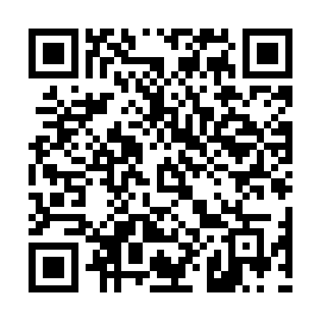 QR code for 489MOG