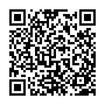 QR code for 490LUO