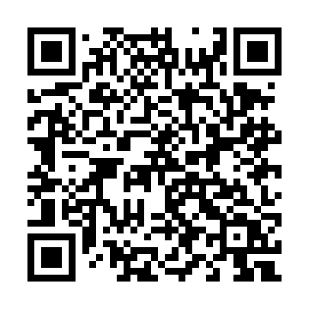 QR code for 491DJT