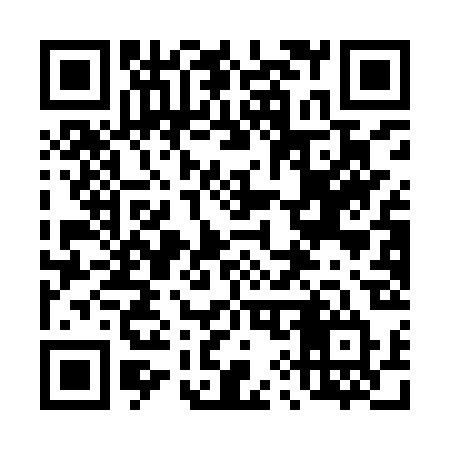 QR code for 491IRT