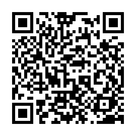 QR code for 491IZH