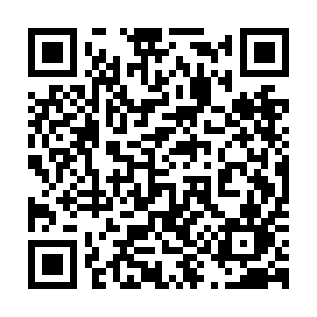 QR code for 491NAN