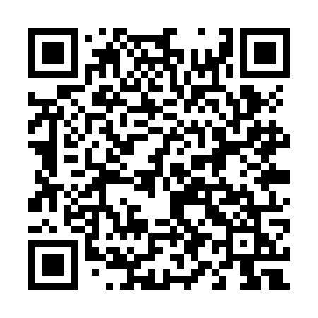 QR code for 491ZOK