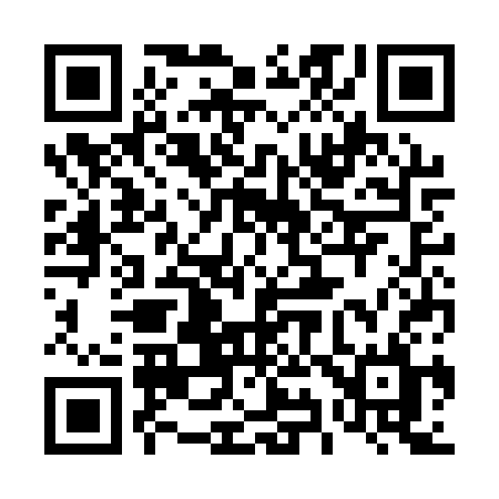 QR code for 493ASL