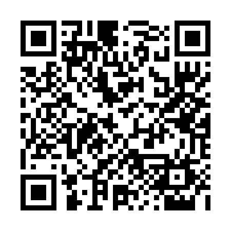QR code for 493BUV