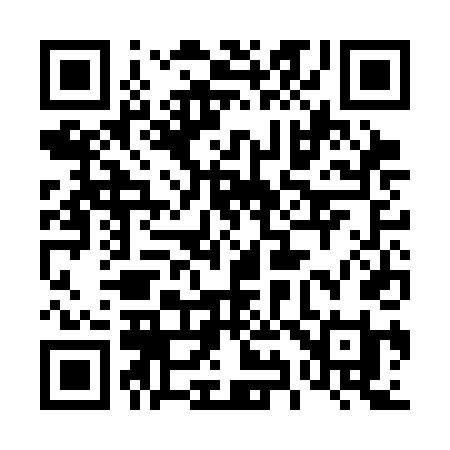 QR code for 493CDI