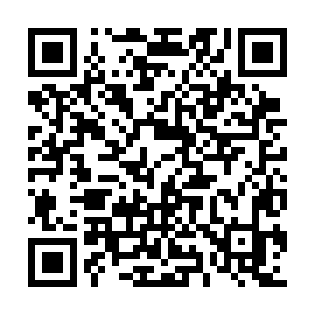 QR code for 493CLK