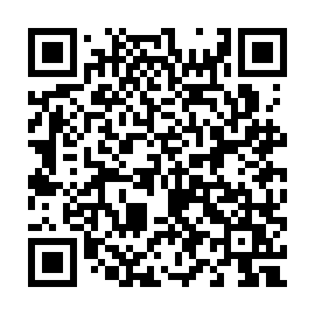 QR code for 493CLU