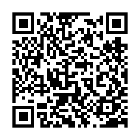QR code for 493FIP