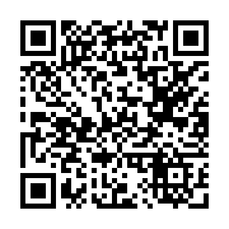 QR code for 493HVG