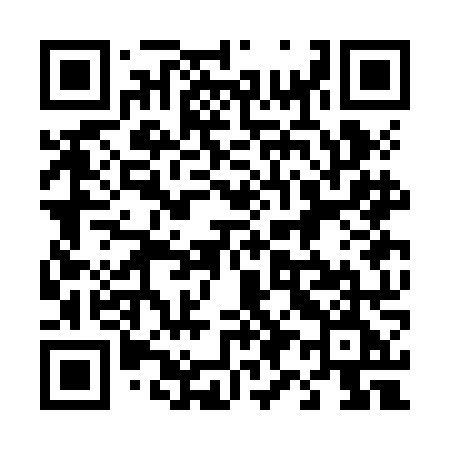 QR code for 493JNE